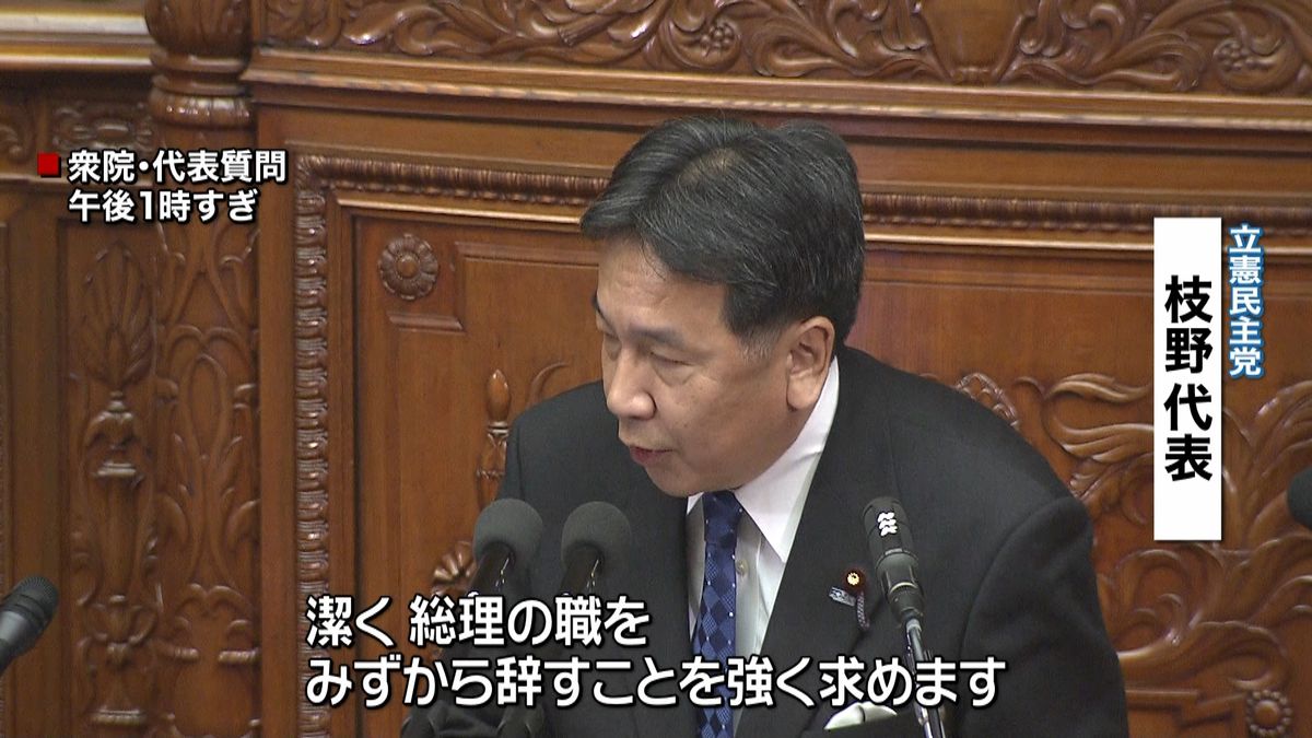 国会代表質問“桜”“公選法違反”など追及