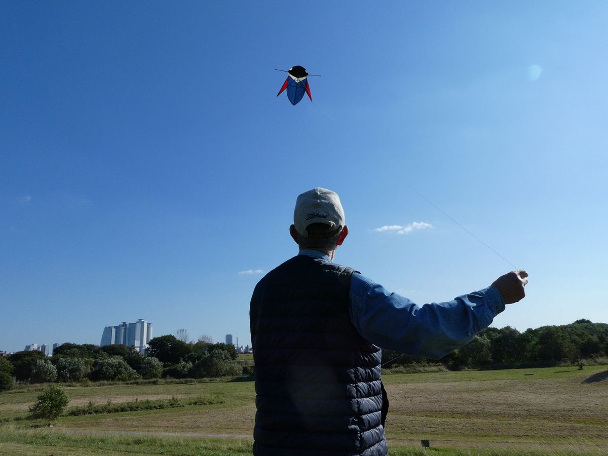 青空を舞う古流凧（永田賢吾さん提供）