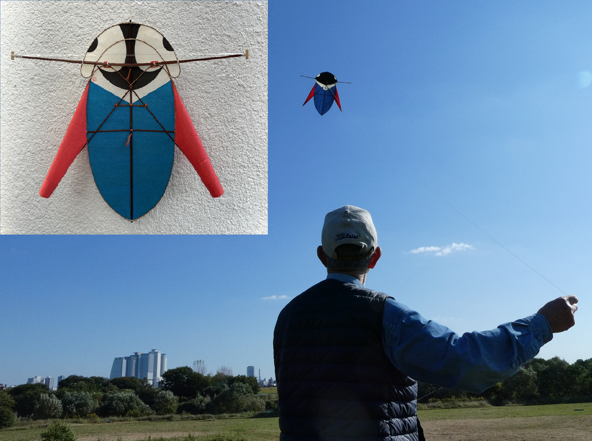 ４００年続いてきた名古屋古流凧が存続の危機　技術者が高齢化と共に減少　名古屋市