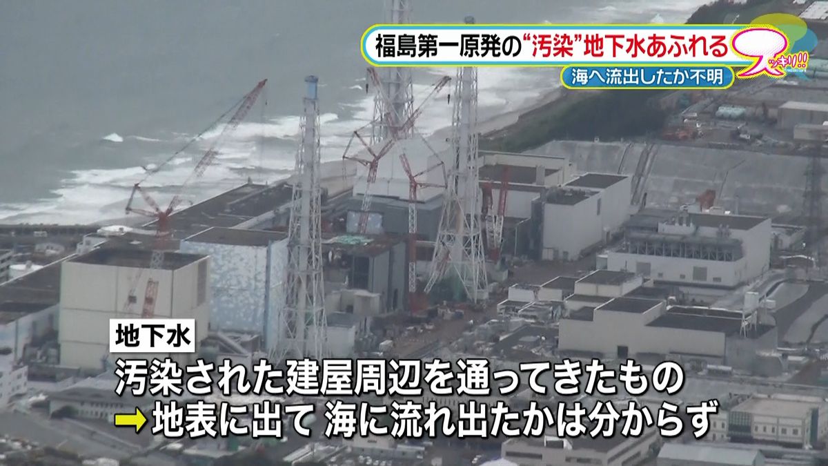 福島第一原発“汚染”地下水あふれる