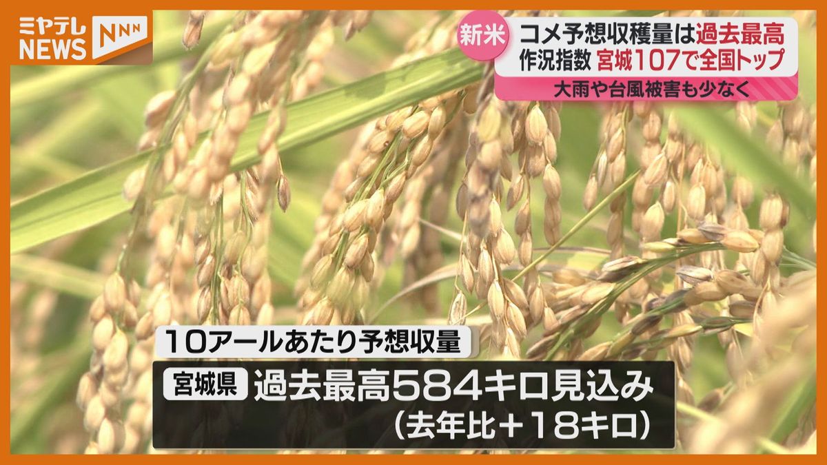 宮城県　コメの予想収穫量10アールあたりは過去最高見込み　作況指数は全国トップへ