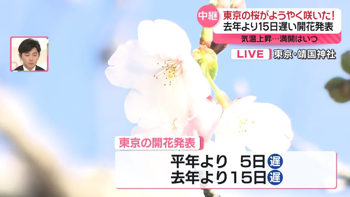 東京で去年より15日遅い開花発表　土日は気温上昇…いつ満開？