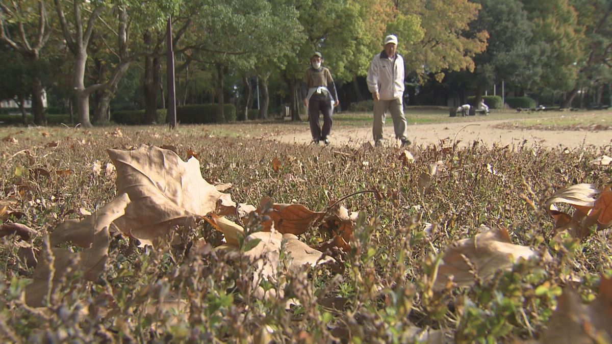 季節外れの暖かさ続く　県内ほとんどの観測地点で20度超え　あすも20度予想