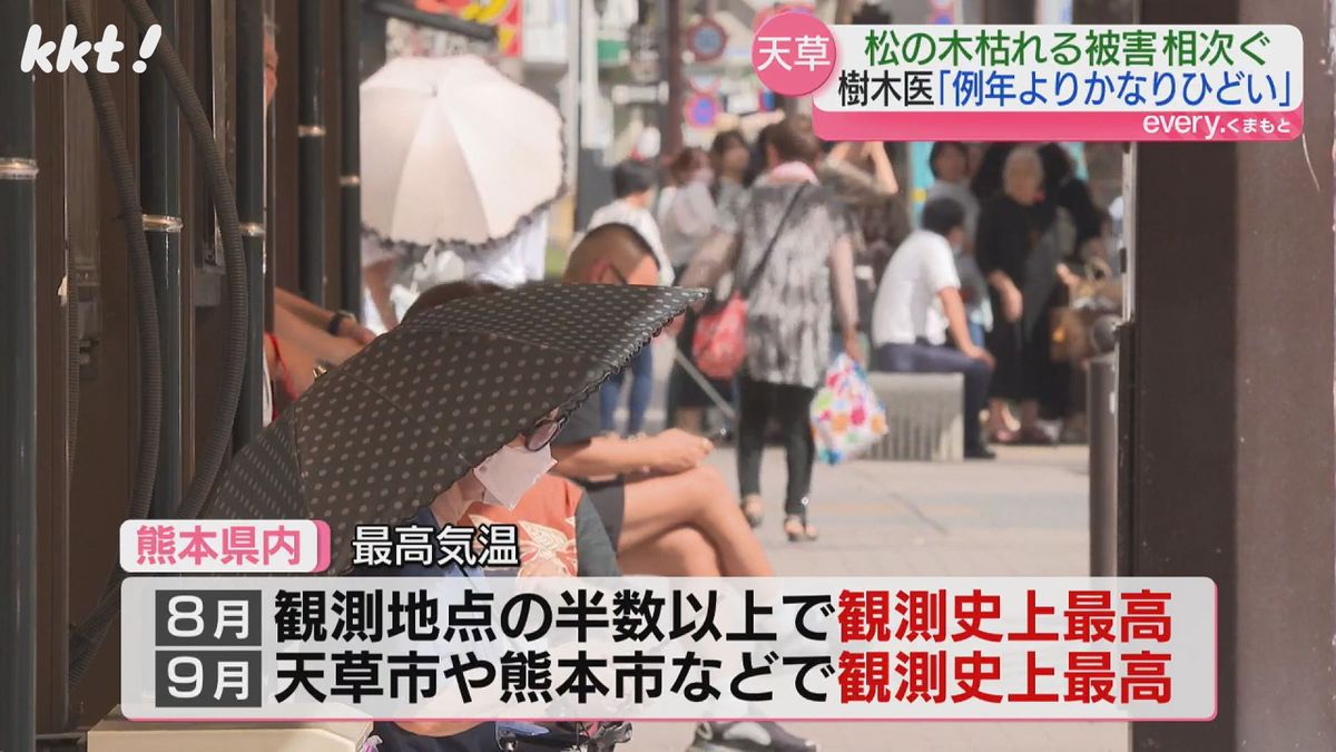 8月は熊本県内の18観測地点のうち、半数以上で観測史上最高気温を更新