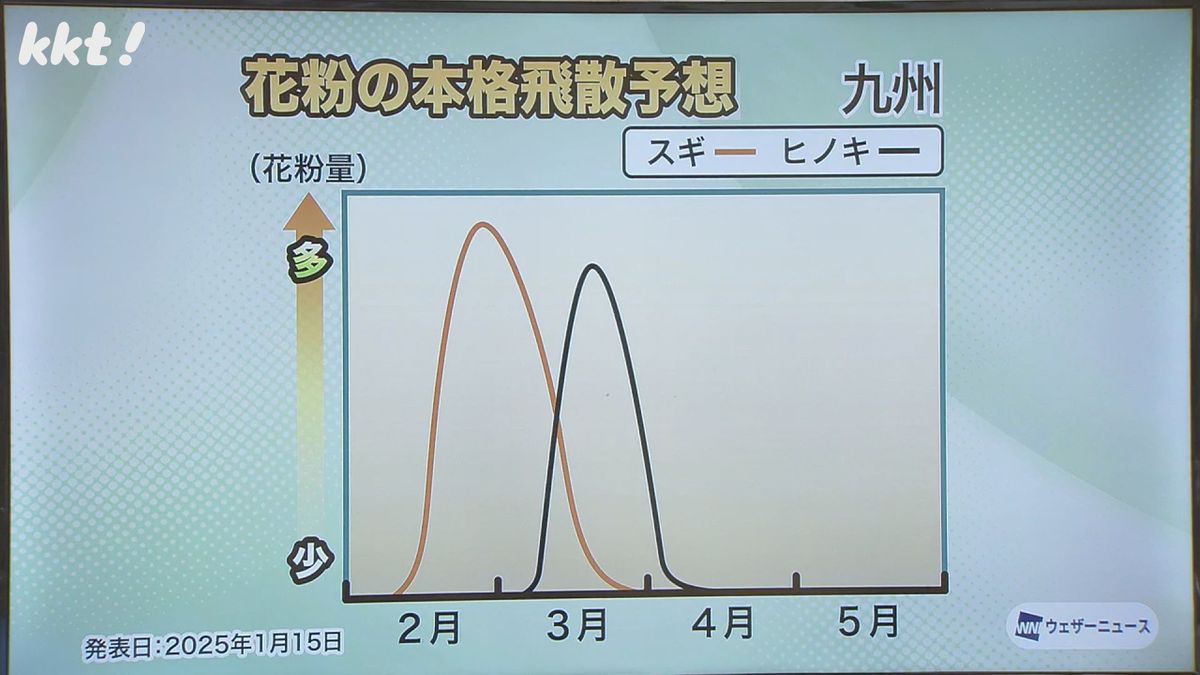 花粉の本格飛散予想