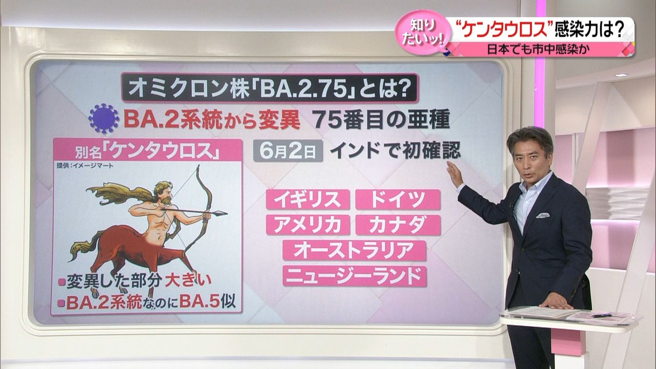 解説】「ケンタウロス」と呼ばれる新たな変異株「BA.2.75」 「BA.2」系統なのに「BA.5」似？  “免疫逃避”も（2022年7月26日掲載）｜日テレNEWS NNN