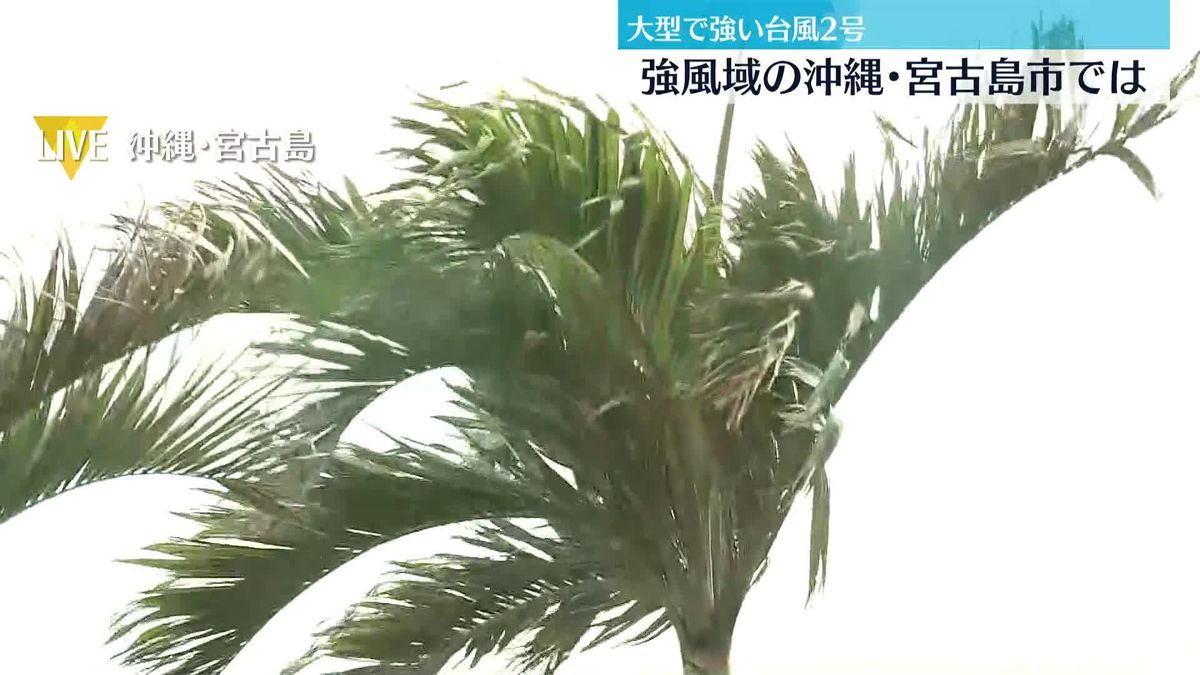 ダンプカー4台とめ“暴風”対策も…台風2号・強風域の宮古島から中継