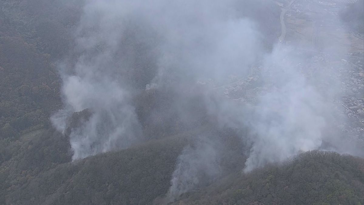 今治市大三島の山火事 発生から1日未だ鎮火に至らず 消火活動つづく【愛媛】