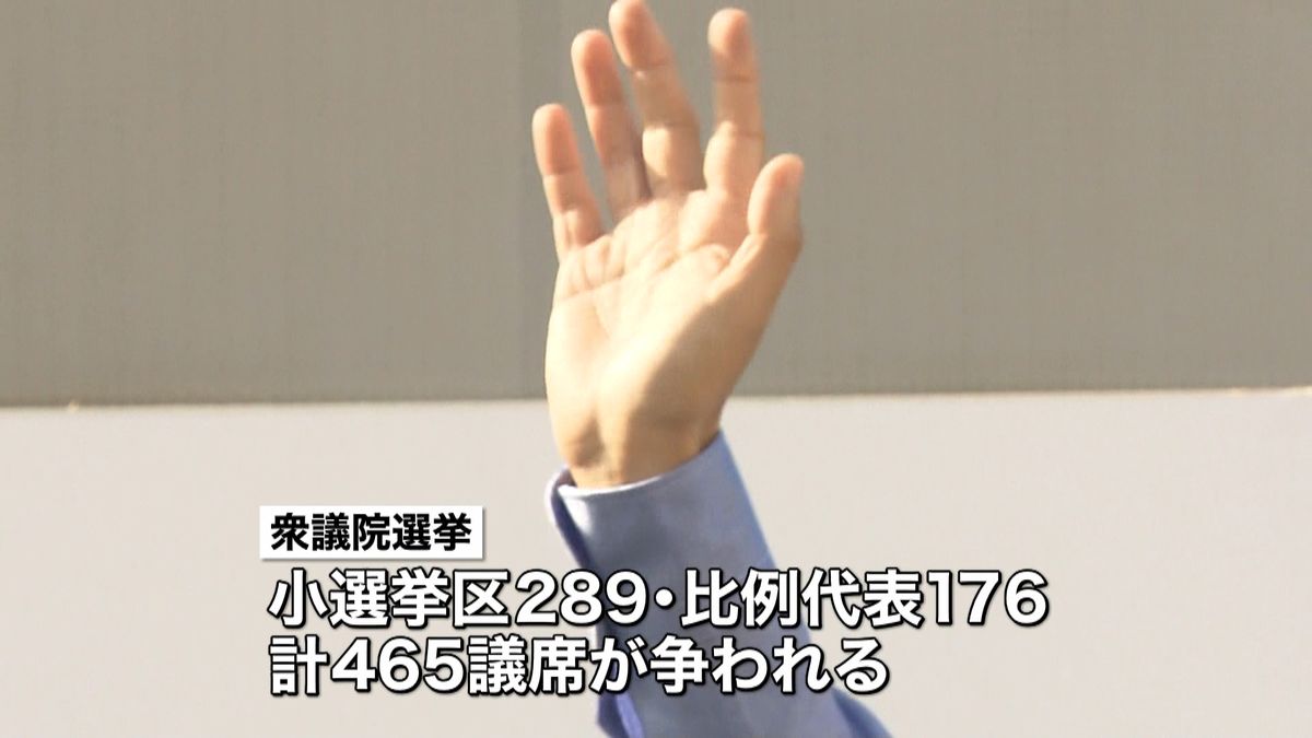 衆院選公示後初の日曜日　党首ら支持訴える