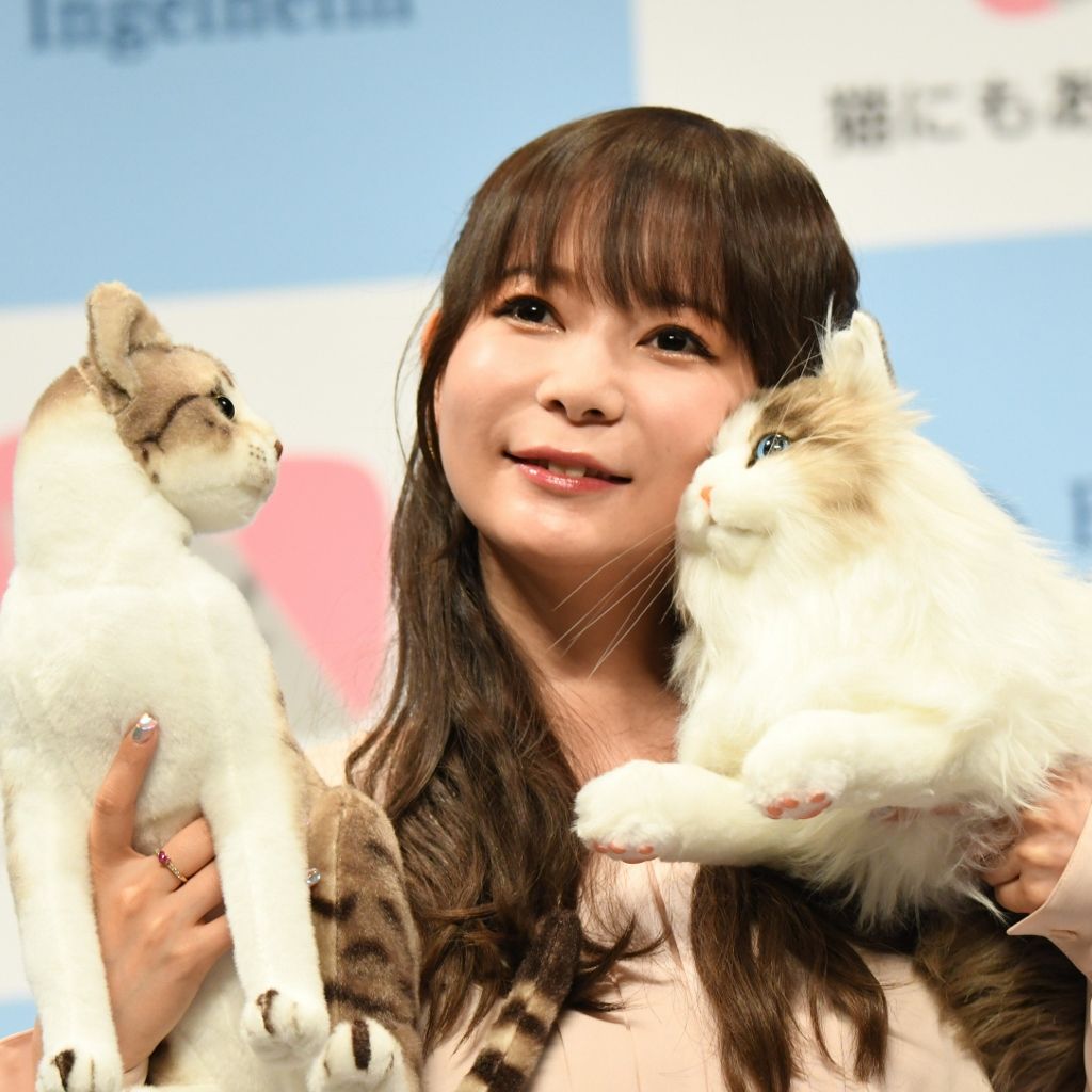 “ねこ愛”爆発の中川翔子　驚きのエピソード告白「愛猫が作詞してくれたことも…」