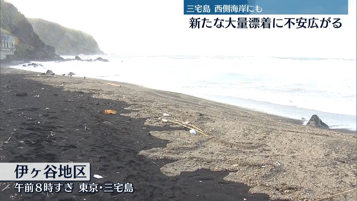 三宅島で新たに“軽石”大量漂着を確認