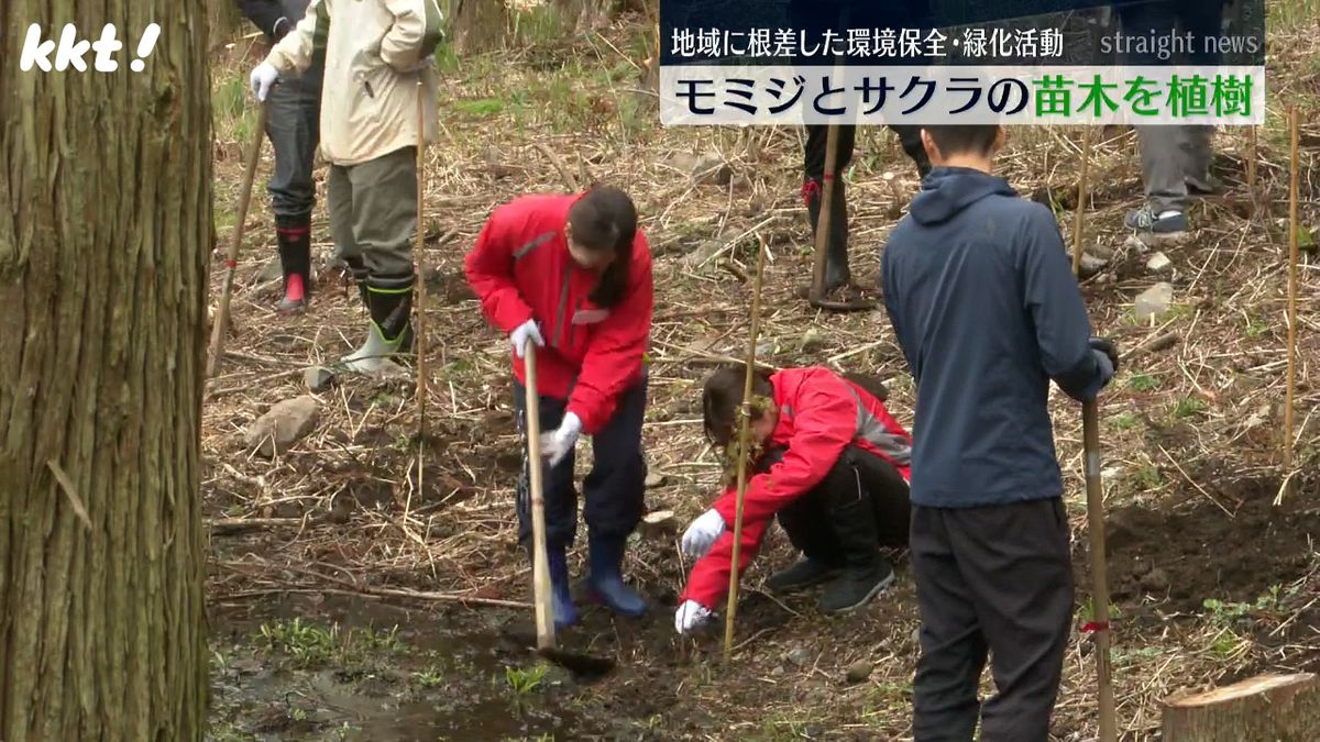 新入社員の記念植樹にも 阿蘇の森にモミジとサクラ67本を植える