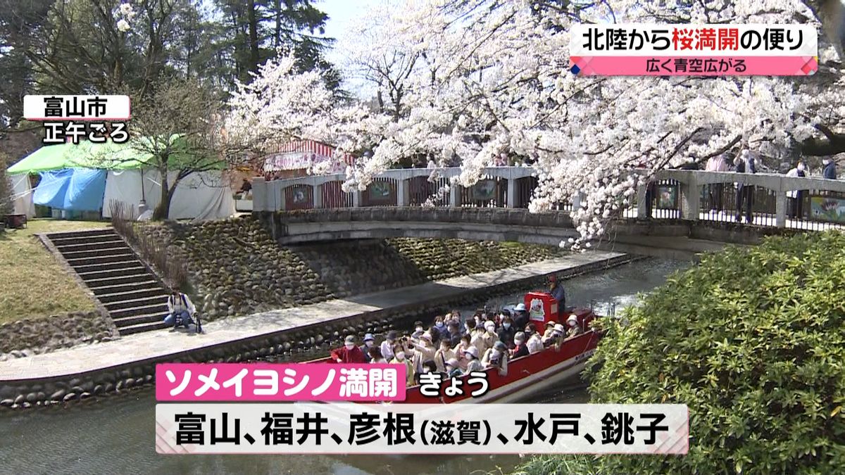 【天気】桜前線が東北北上　仙台はまもなく開花