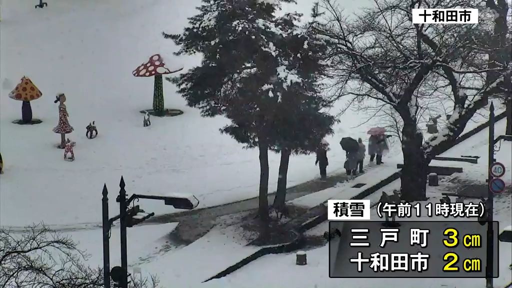 “啓蟄”なのに警報級の大雪になる可能性　南岸低気圧の影響で下北と三八上北で夕方から大雪に警戒