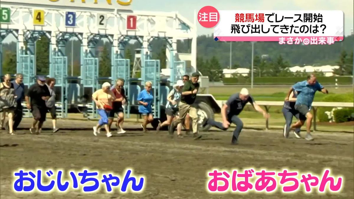 競馬場で“祖父母レース”開催　孫の笑顔のため元気に競い合う　アメリカ・ワシントン州