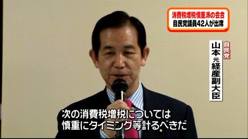 消費税増税に慎重な自民党議員ら会合