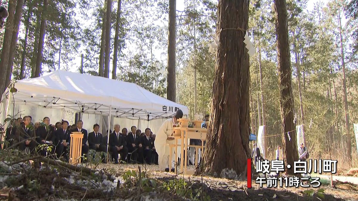 東京オリパラ選手村で使用　ヒノキ伐採式