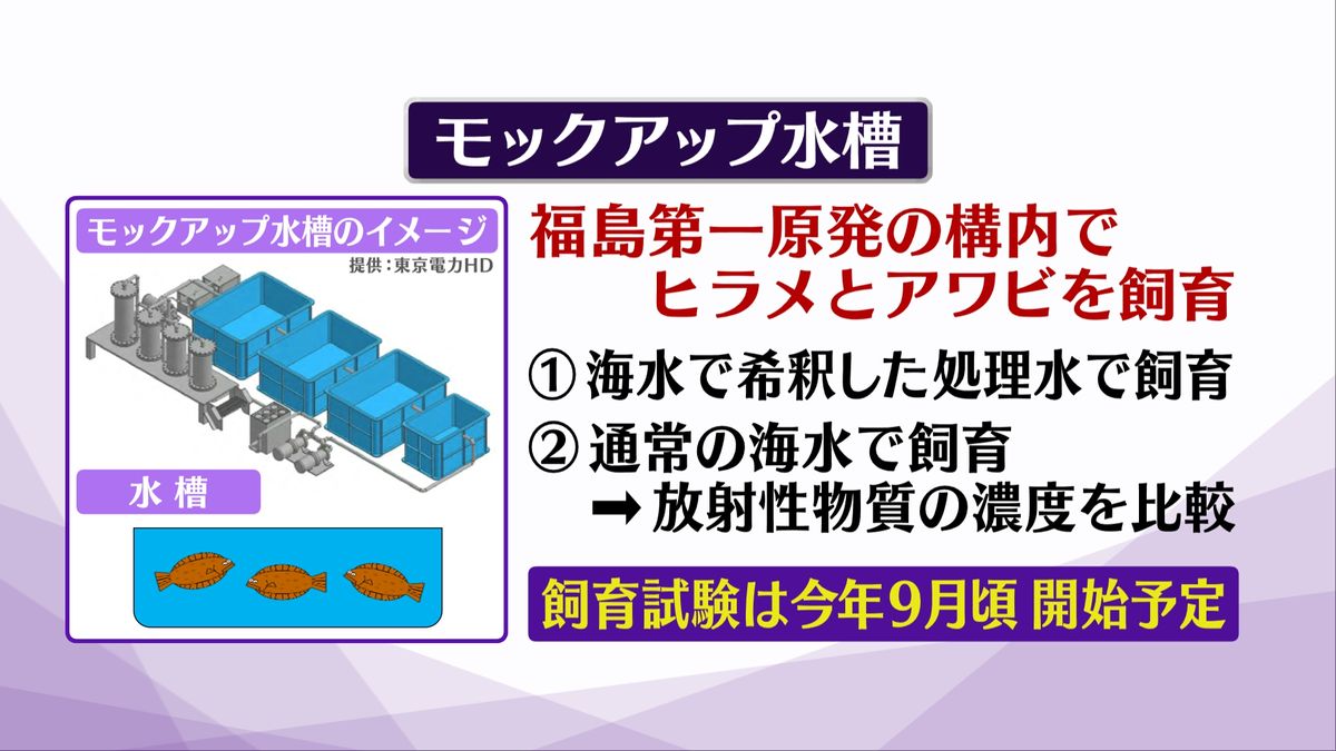 原発にヒラメとアワビ！？