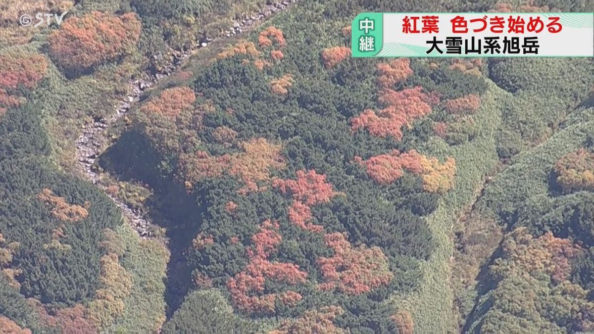 【野見山アナ初中継！】　上空から見る大雪山系・旭岳の紅葉は　自然が描く芸術　北海道