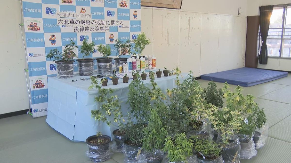 自宅で大麻を栽培した疑い　会社員の男(41)逮捕　改正法施行での逮捕は県内初　愛知県警