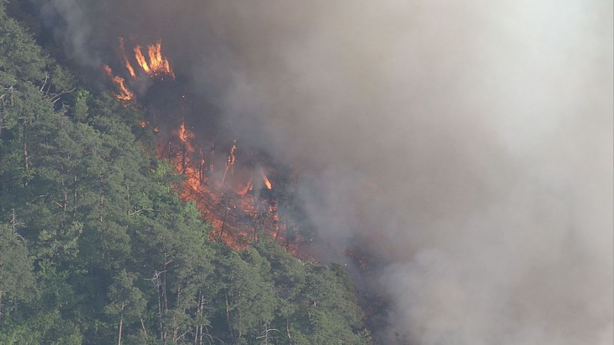 山形県内の山火事　過去5年間で発生件数がすでに最多に　半数以上が野焼きなど人為的原因