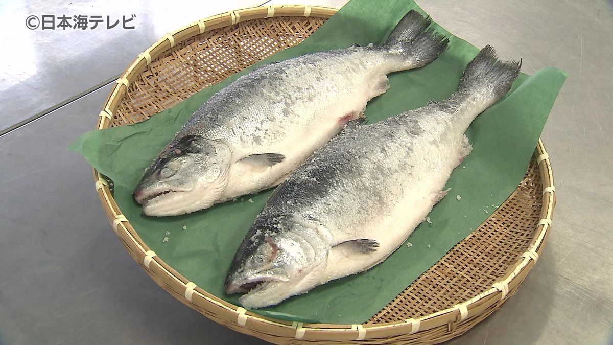 「おいしく食べてもらうため一生懸命頑張りました」　地元高校生が新巻ザケづくり実習　鳥取県境港市