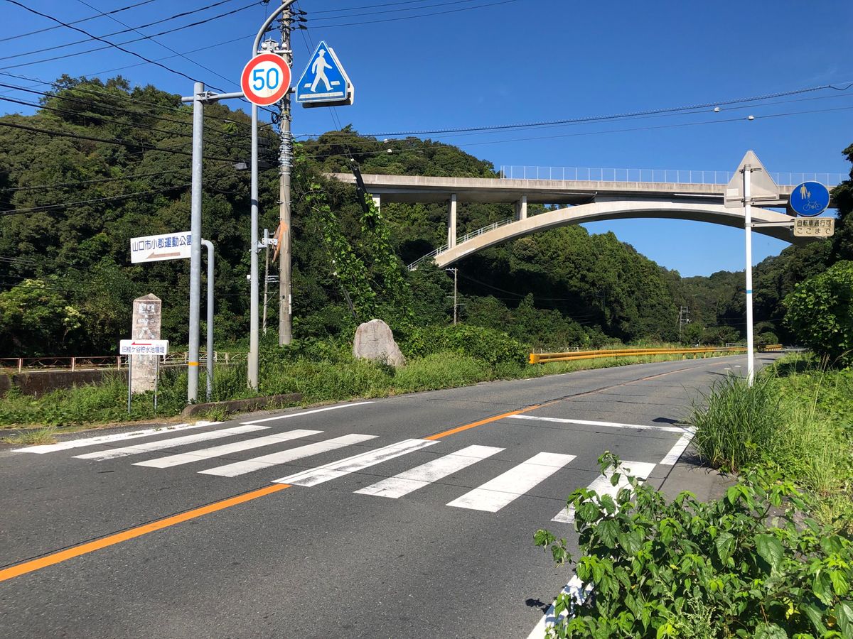 山口市小郡　道路横断中の90代女性が車にはねられ死亡