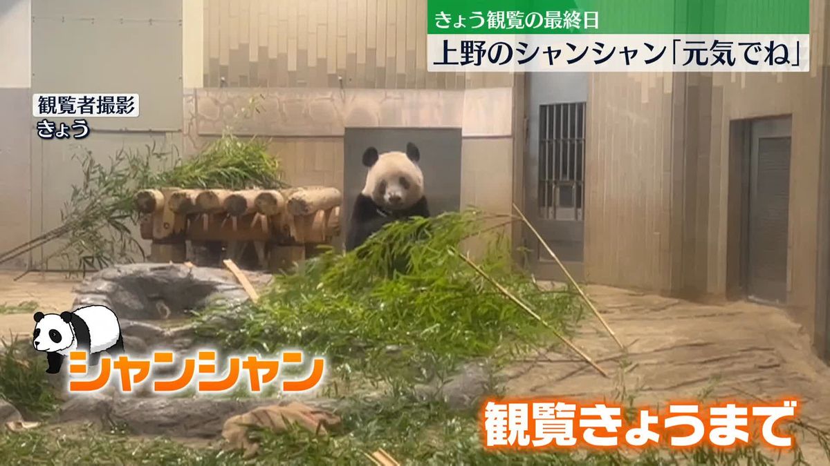 上野動物園のシャンシャン　多くの人が名残惜しむ　観覧最終日