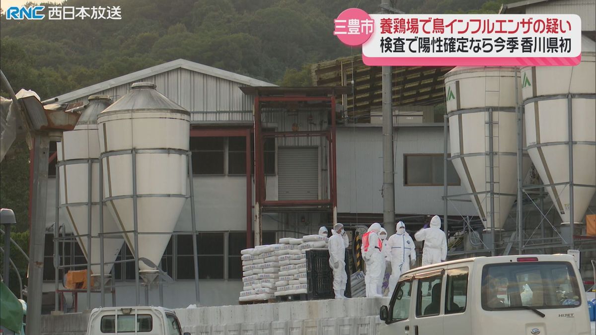 鳥インフルエンザ疑い　三豊市の養鶏場で複数のニワトリ死ぬ　陽性なら香川県で今季初