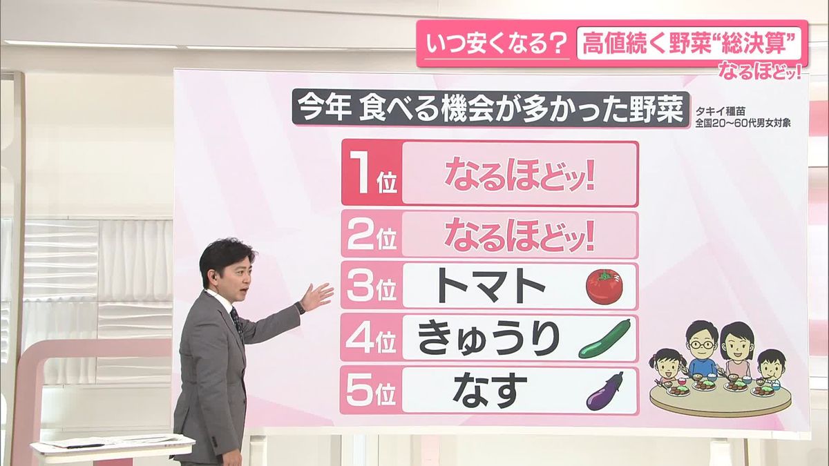 【なるほどッ!】いつ安くなる？　高値が続く野菜 “総決算”