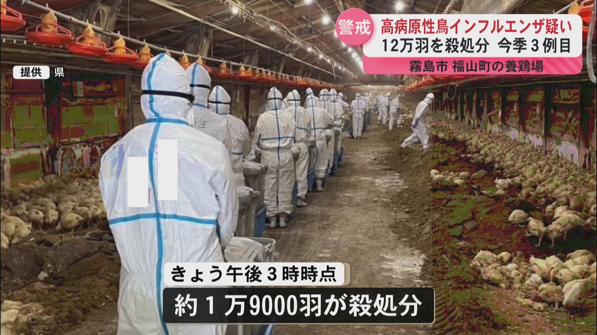 霧島市の養鶏場で高病原性の疑いがある鳥インフルエンザウイルス検出　12万羽のニワトリの殺処分…作業は数日かかる見込み