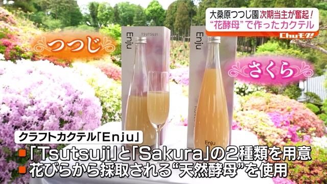 「さくら」は富岡の夜ノ森の桜から酵母を採取