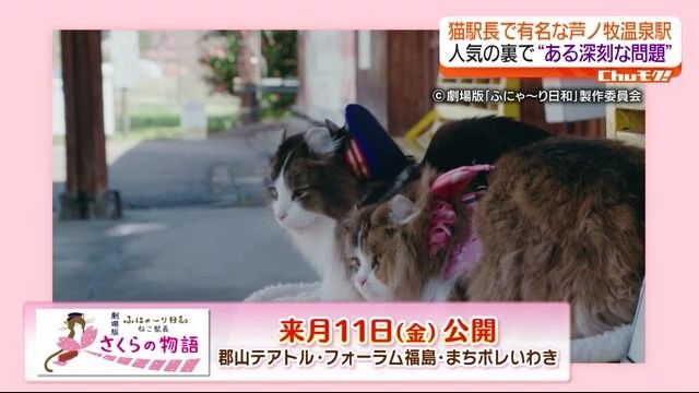 10月11日からは猫たちを主人公とした映画も公開