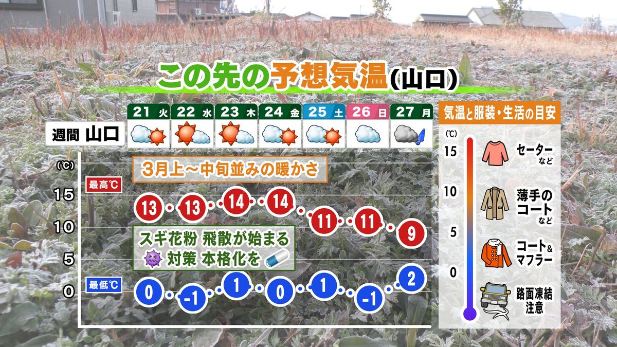 【山口天気 夕刊1/20】「大寒」迎えたが…しばらく昼は3月並みの暖かさの日々 飛散開始のスギ花粉に本格的な対策を！