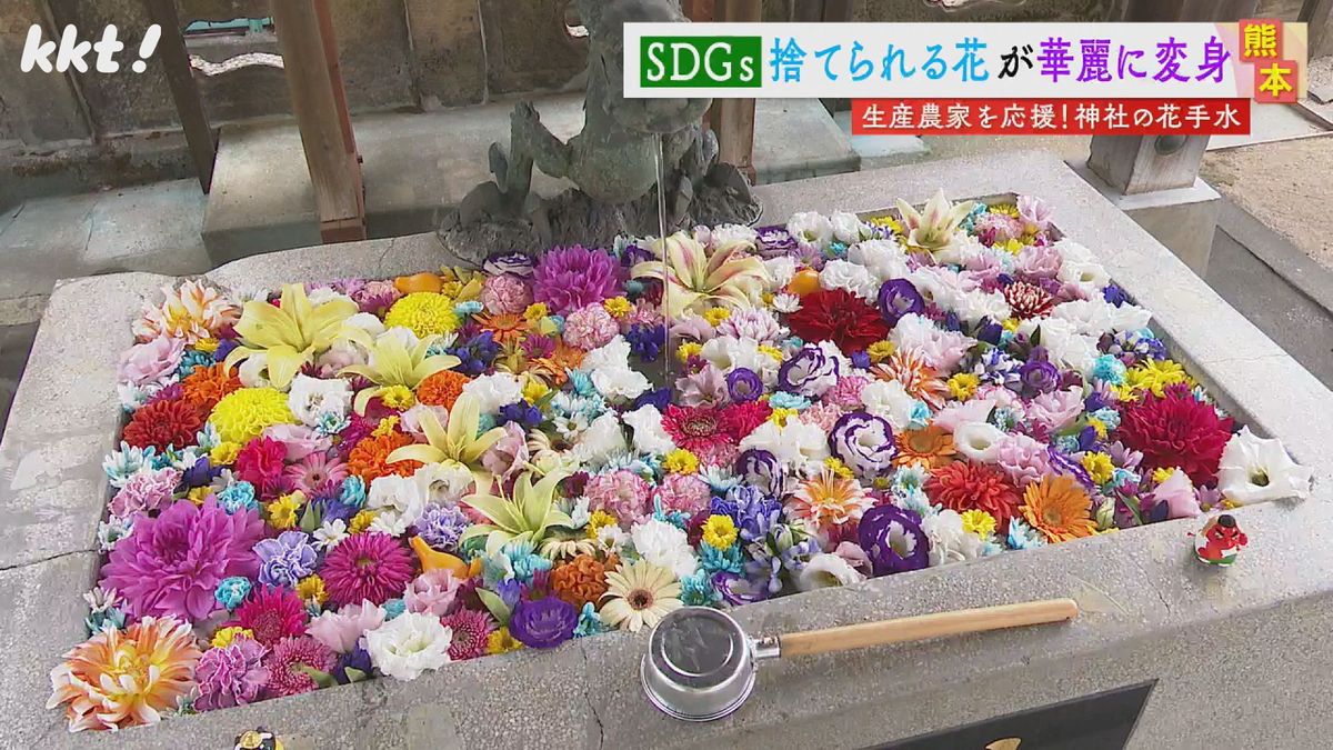 「花を廃棄したくない!」フラワーロスをなくそうと見事な花手水へ