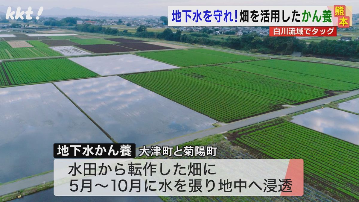 地下水保全で畑を活用!熊本市と近隣の町などが｢かん養｣で協定