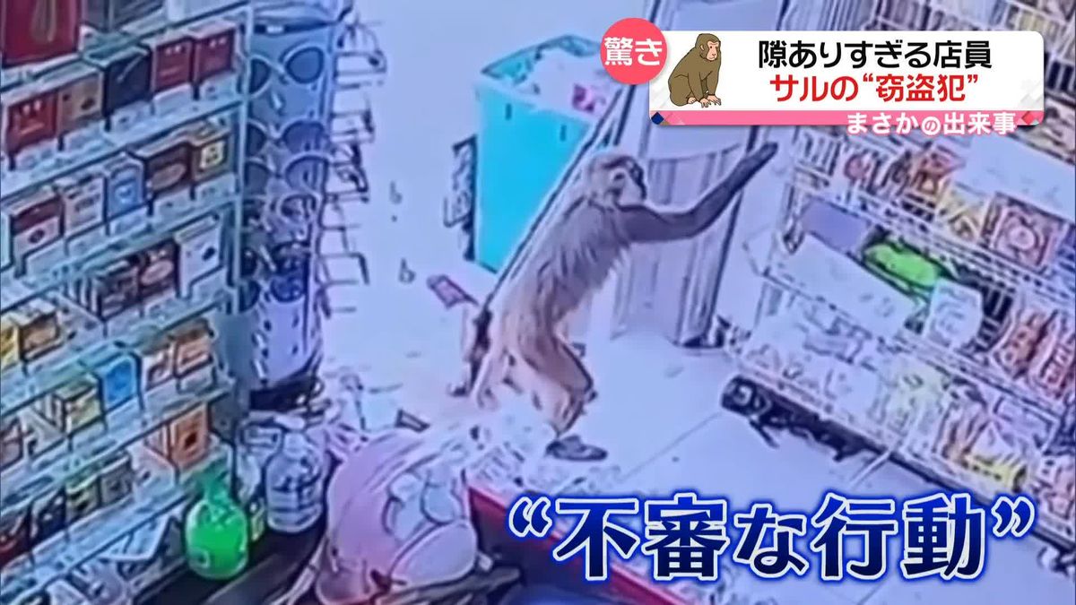 中国の山岳部に“サルの窃盗犯”現る…店員は動画を見ていて気づかず　そーっと商品に手を伸ばし…