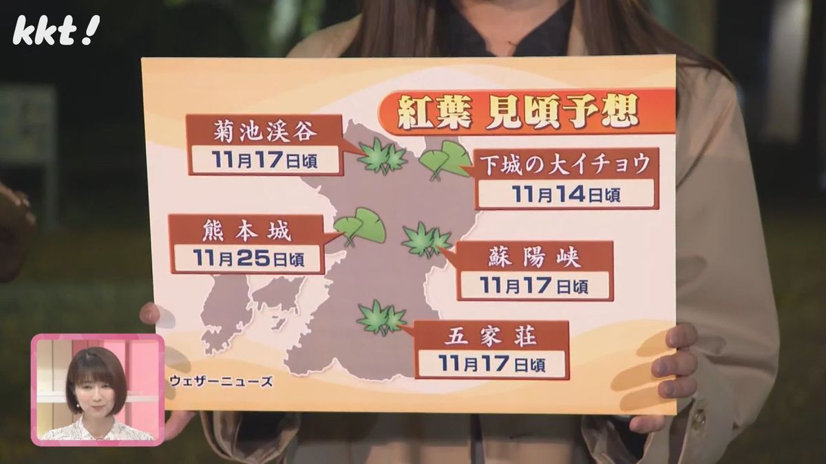 熊本の紅葉名所の見頃は