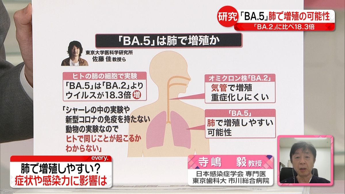 【解説】感染力強い「BA.5」肺で増殖しやすい？　東京約4か月ぶり1万人超え…新型コロナ感染急拡大