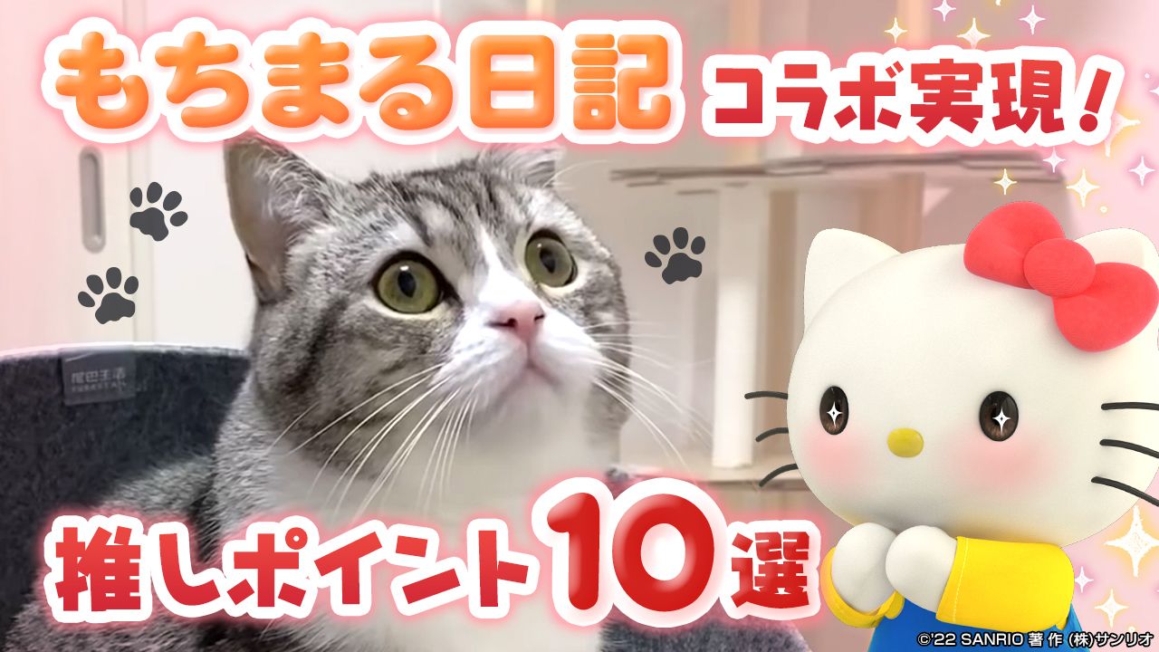 ハローキティが “推し猫” のもちまると猫の日に初コラボ キティの