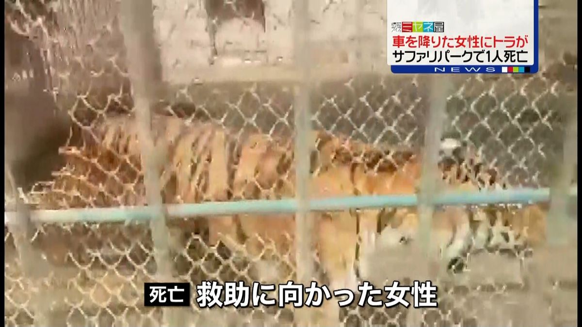 サファリパークでトラに襲われ…観光客死亡