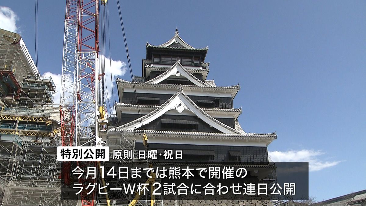 地震で被災の熊本城　３年半ぶりの特別公開