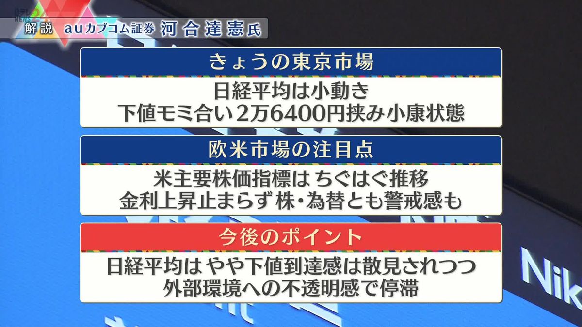 株価見通しは？　河合達憲氏が解説