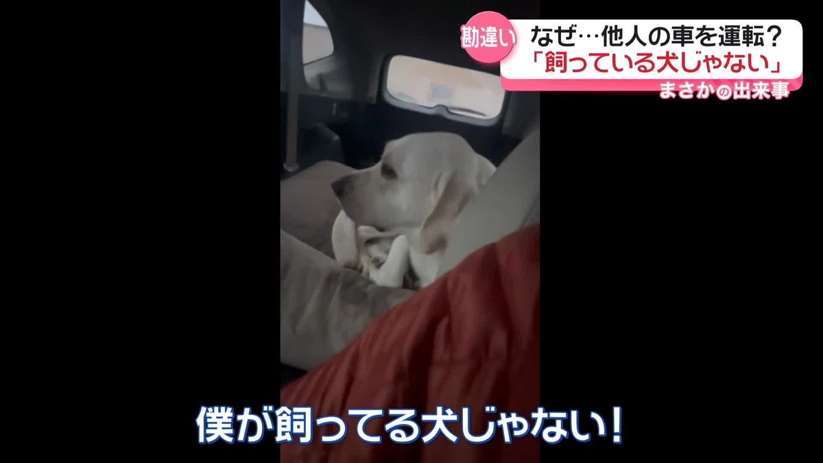 後部座席に「犬がいる！」勘違いで他人の車を運転　なぜ？　アメリカ・モンタナ州