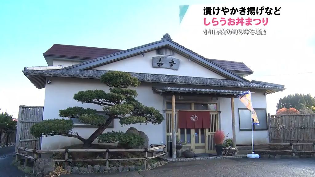 二十四節気「小雪」　平川市の「盛美園」冬支度　まだ紅葉見ごろ　雪囲い　紅葉と雪のコラボレーション