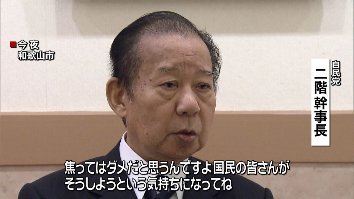 二階幹事長　憲法改正「焦ってはいけない」