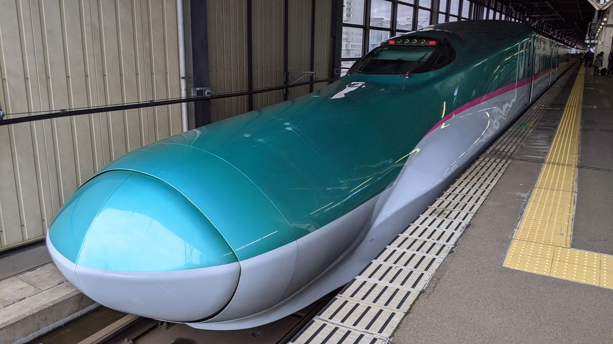 東北新幹線「はやぶさ」が白鳥と衝突　車両点検のため一時停車　青森