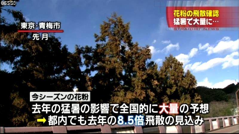 東京都、スギ花粉の飛散開始を発表