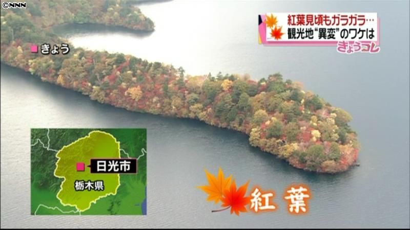 紅葉見頃も…原発事故の影響で行楽客激減