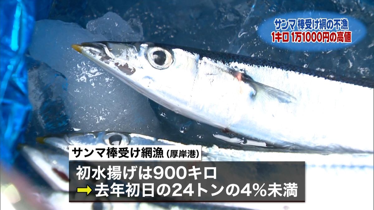 サンマ初競り　去年の４倍超の高値に